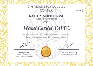 Sertifika_Mesut Cevdet YAVUZ